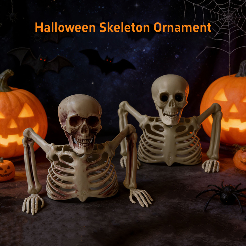 Horror Half Skeleton Skull Orn - Halloween Skeleton Decoration 评论和价格